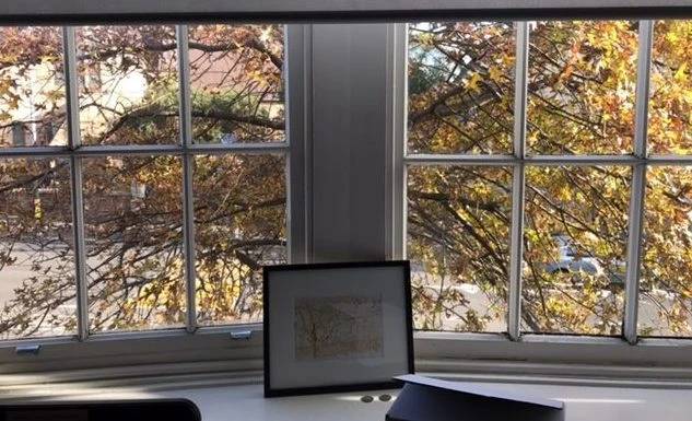 The consulting rooms at Woollahra General Practice, looking out to the street.